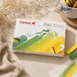 Camel Artist Soft Pastels â€“ 20 Shades